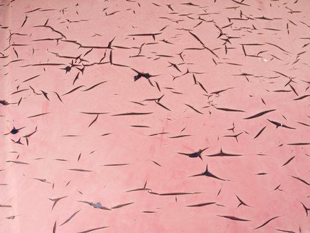 The Old Red Paint on Bonnet Crack Become The Patternの写真素材