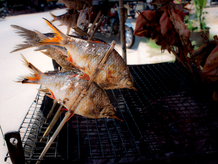 The Barb Fishs Roasting put in The Bamboo Sticks on The Grill in The Roadの写真素材