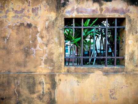The Old Yellow Wall is Visible Through  Old Iron Window The Trees inside The House