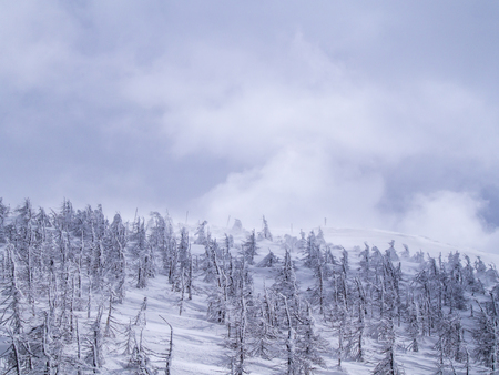 The Snow Covered The Mountains above The Cloudy in Japanの写真素材