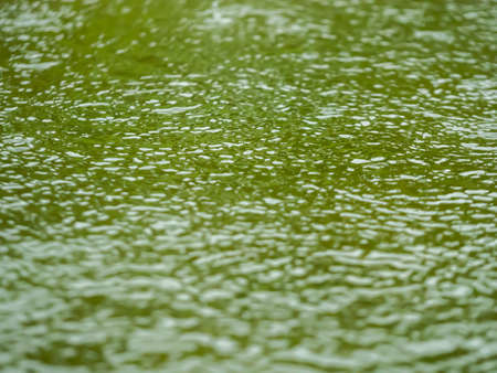 Pattern of The Green Pond Moving from The Rain