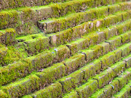 Abstract of Side View of Ancient Bricks Wall in Underground Temple Chiang Mai Provinceの写真素材