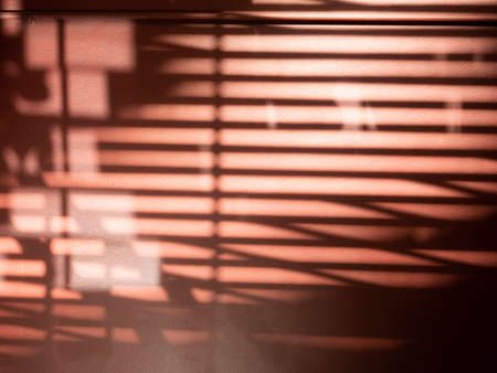 The Light Shines Through Louvre , Creating a Straight Lines and Oblique Shadow Pattern Like an...