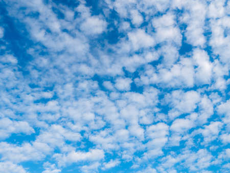 The Sky is Cloudy Like a Cotton Balls in The Morning