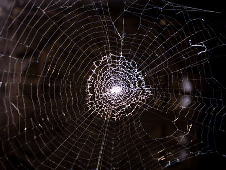 The Spider Web Reflection in The Dark Sideの写真素材
