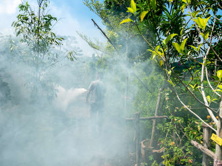 4 June'21 Muang Surin Province Thailand : The Man Standing back and Spraying White Smoke to Repel Mosquito in Tree Shopの写真素材