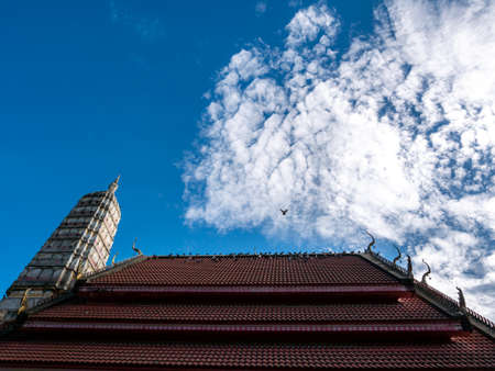 The Pigeon Flying over The Dozen of Pigeons on The Roof behind The Clean Blue Skyの写真素材