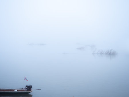 Several Trees Float on The River with The Long Tail Boat with Thai Flag in Foggy on a Calm Dayの写真素材