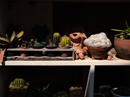 Cactus Rack with Clay Doll behind The Dark Background