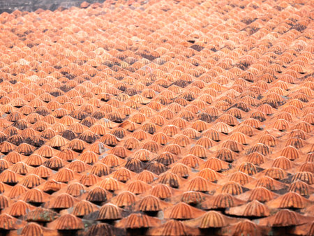 The Antique Tiles with a Clam Lid Pattern Arranging in a Rowの写真素材