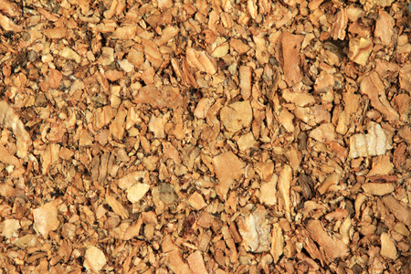 Cork Texture and Background