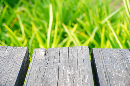 Old wood floor backdrop green springの写真素材