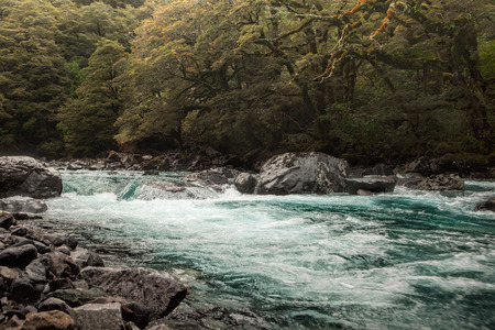 Stream along side of Milford road , South island, New Zealandの写真素材