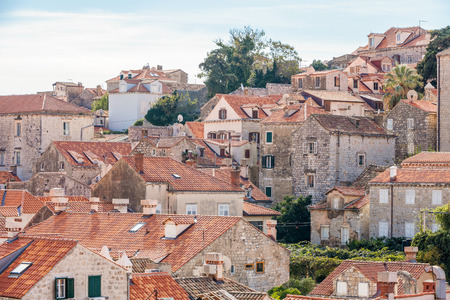 The habitat of old town dubrovnik, Croatiaの写真素材