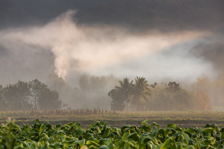 Landscape of farmland with smoke of meal prepairing from a villageの写真素材