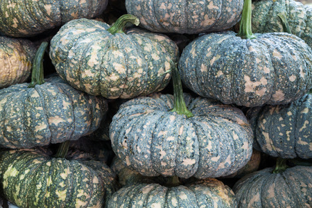 Pumpkins displayed in fresh merket and ready for salesの写真素材