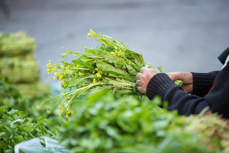morning market on the street in rural of Thailand.の写真素材