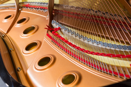 Inside of a grand piano focus on the strings.の写真素材
