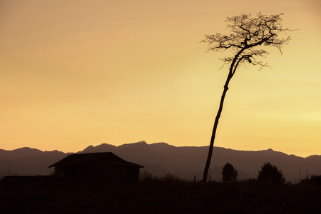 Farmhouse and dried tall  tree in silhouette against colorful twilight sky.の写真素材