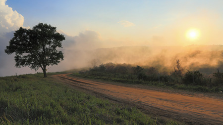 Dirt road track on remote mountain with fog and meadow in the background during the sunset at Phu Lom Lo , Loei, Thailand.の写真素材