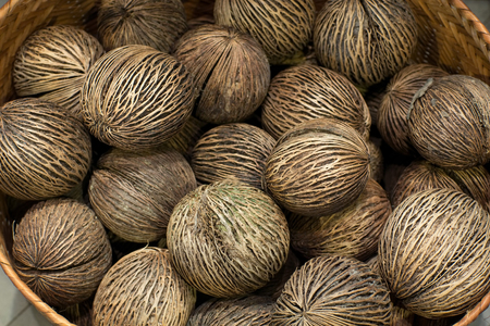 Sucide fruit seeds in a basket.の写真素材