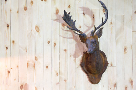 Deer horn antler decorated on white wooden wall.の写真素材