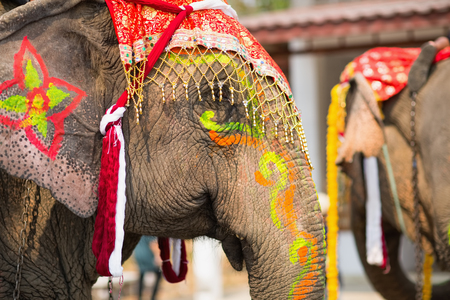 Close up of colorful painted elephant head at annual celebration event in Sukhothai, Thailand.の写真素材