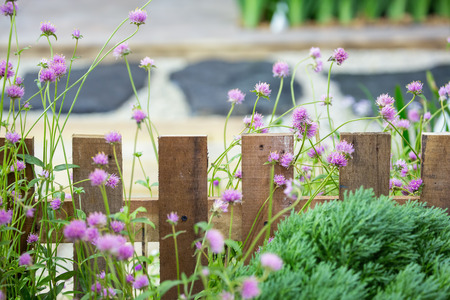 Rustic style wooden fence with flowers and bushesの写真素材