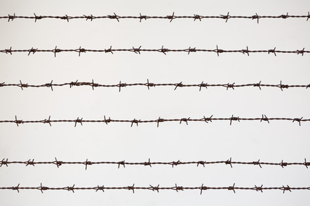 Steel rusty barbwire pattern on white background.の写真素材
