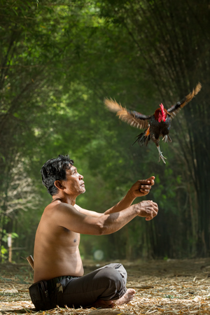 Asian farmer sit and catch his chicken with both hands in green bamboo tunnel and smoke background.の写真素材