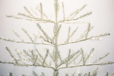 Branches of white christmas tree before decorate on bright background.の写真素材