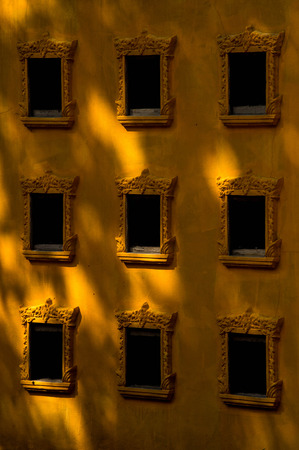 For Bone Collectorの写真素材