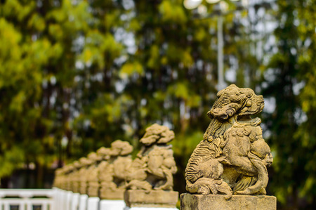 Kirinの写真素材