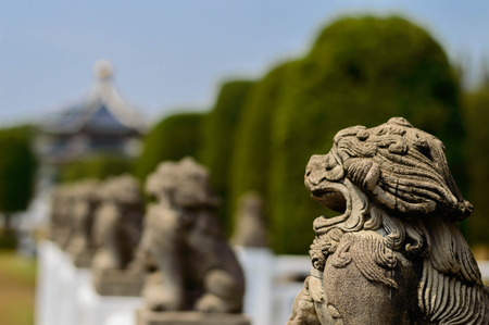 Kirinの写真素材