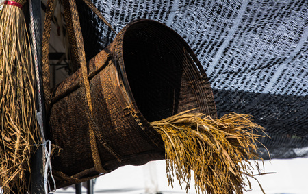 spikeの写真素材