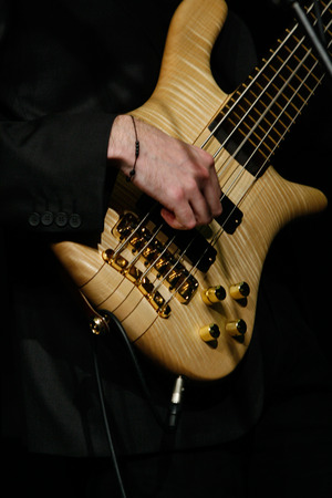 Bass guitar, with 5 strings.