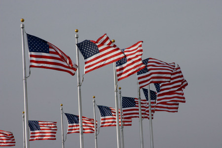 USA flags, a windy, gray day in Washington, DC