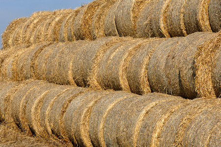 Hay bail harvesting in a field landscape 