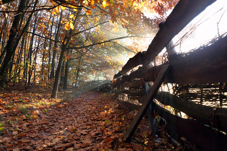 Autumn landscape with wooden fenceの写真素材
