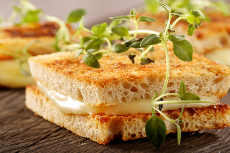 Fresh toast with cheese and herbsの写真素材