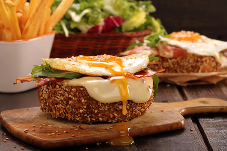 Sandwich with cheese bacon and fried egg on wooden backgroundの写真素材