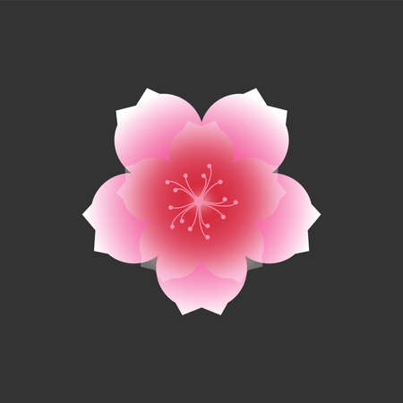Vector illustration of cherry blossoms isolated on black backgroundのイラスト素材