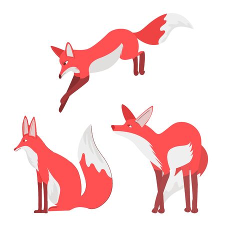 Fox Vector Set An Isolated White Background. Gentle Fox. The Glance Of Fox.のイラスト素材