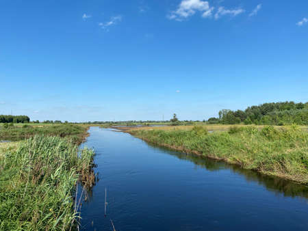 view on the bicycle route near WÅodawaの写真素材