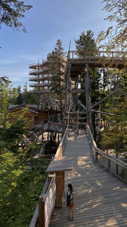 Krynica ZdrÃ³j, Lesser Poland Voivodeship, Poland-September 14.2020. Year tourist lookout tower in the treetops at the top of SÅotwiny Arena ski stationのeditorial素材