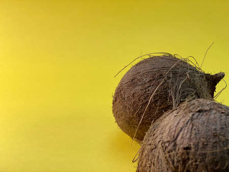 On a yellow background lies a coconutの写真素材