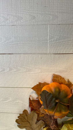 orange pumpkin a bunch of cereals all lying on a painted wooden table