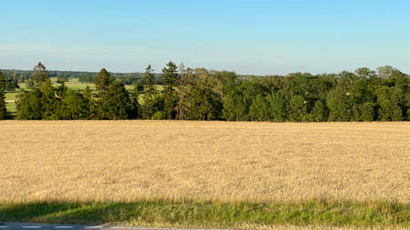 view from viewing faith on cultivated fields blue skyの写真素材