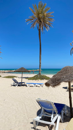 large palm trees blue sky sandy beach with white sandの写真素材