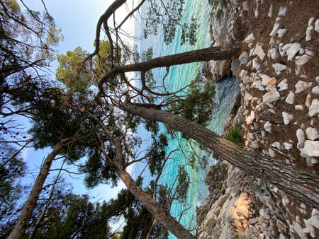 coast maybe adriatic sea beautiful rocky shore in brown color coniferous treesの写真素材